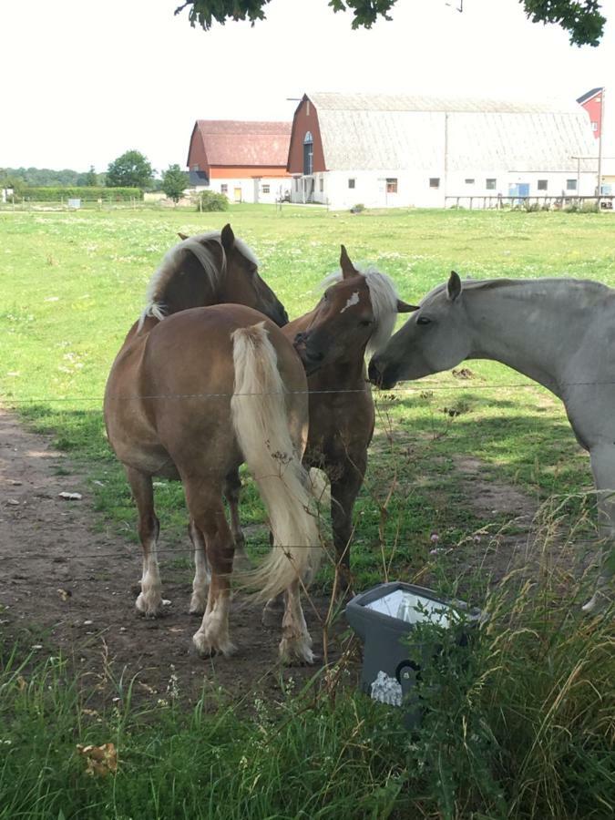 Statarlängan Lägenhet Visby Exteriör bild